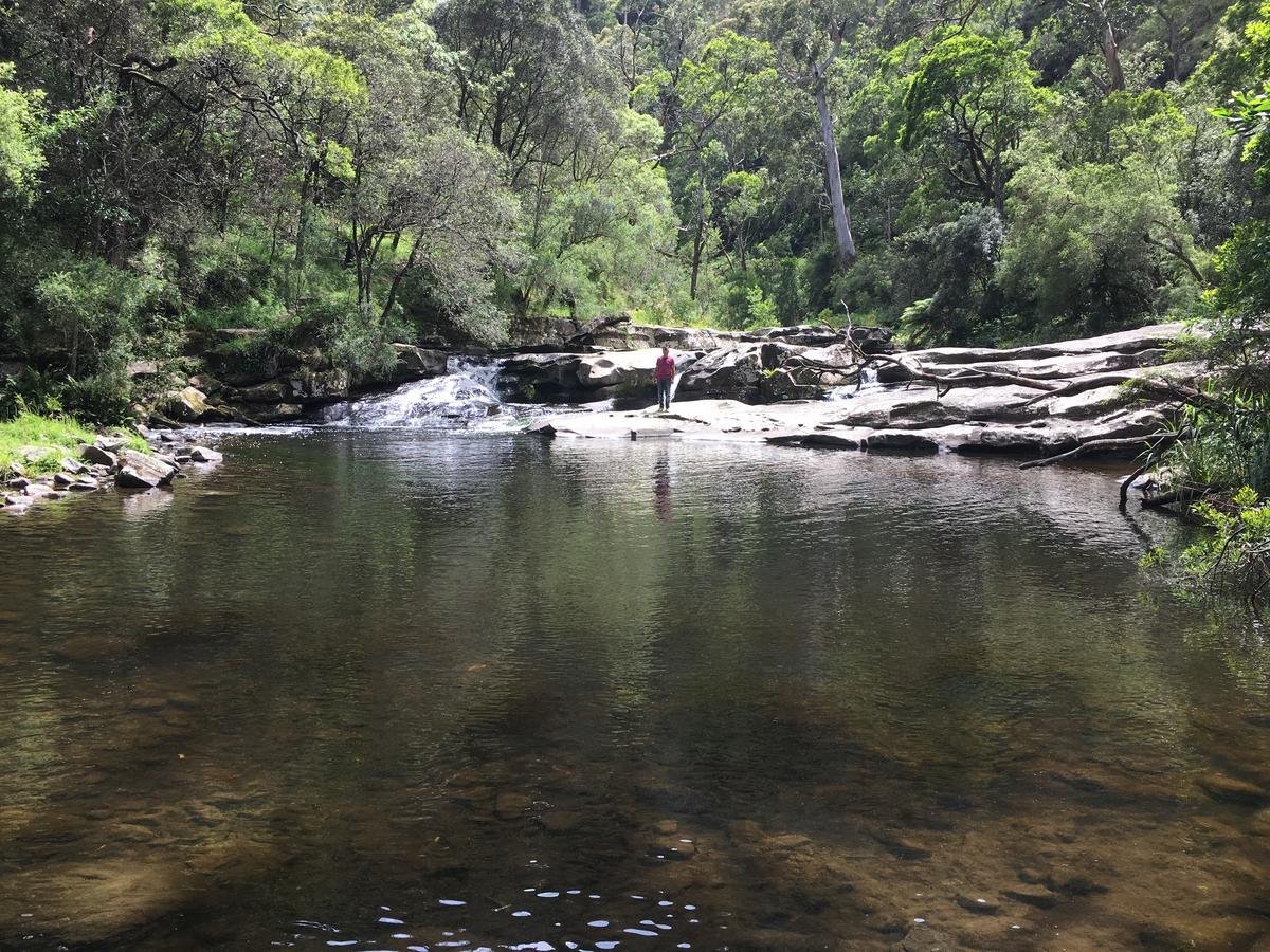 Cumberland River Holiday Park Lorne Eksteriør billede